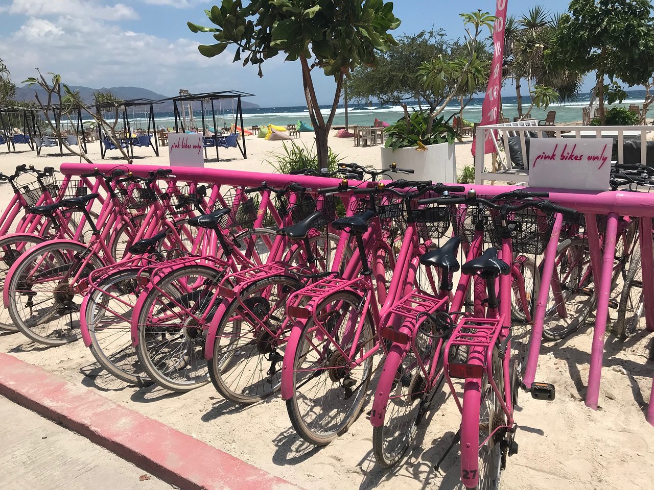 Bicycle Rental